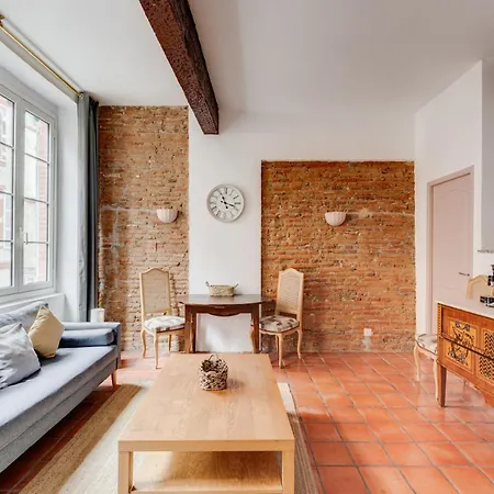 Brique Du Capitole - Hypercentre Appartement