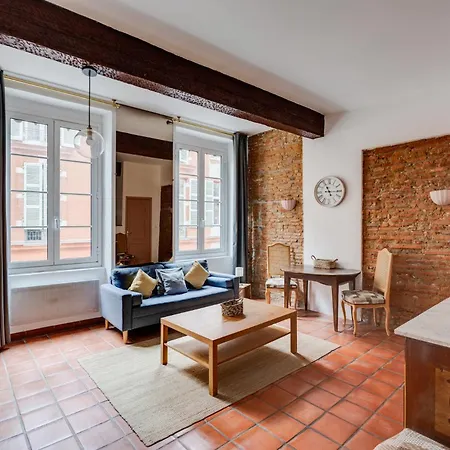 Brique Du Capitole - Hypercentre טולוז