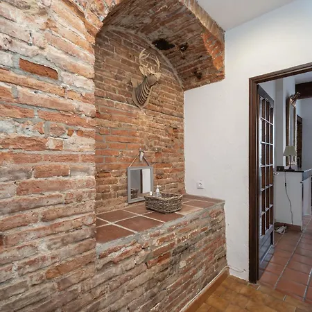 Appartement Brique Du Capitole - Hypercentre *