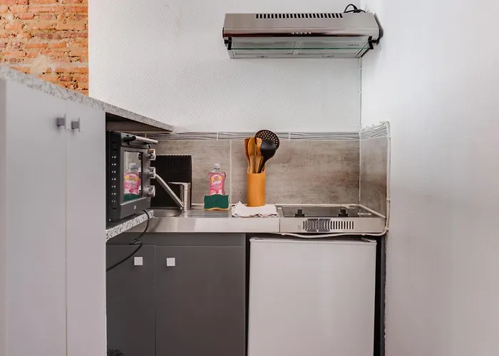 Lägenhet Brique Du Capitole - Hypercentre