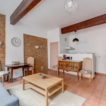 Apartament Brique Du Capitole - Hypercentre *