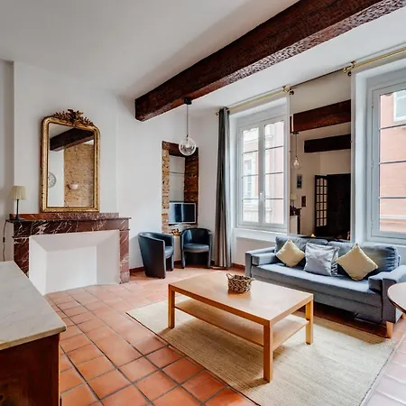 Apartament Brique Du Capitole - Hypercentre Tuluza