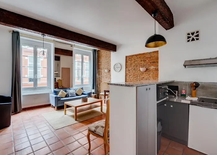 Brique Du Capitole - Hypercentre