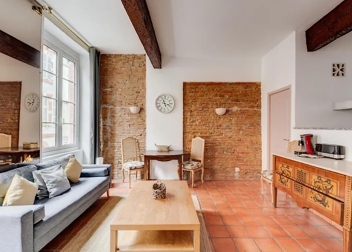 Brique Du Capitole - Hypercentre アパート